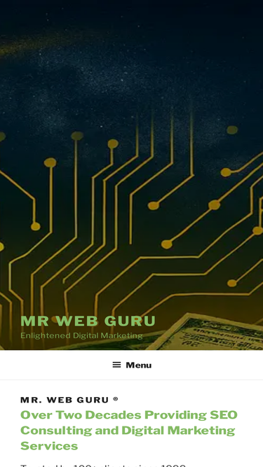 mrwebguru.com