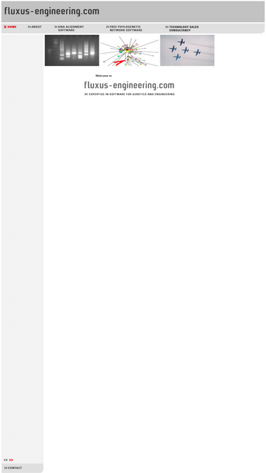 fluxus-engineering.com