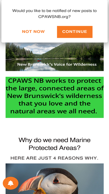 cpawsnb.org