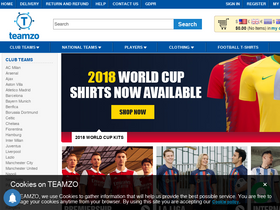 'teamzo.com' screenshot