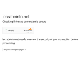 'lecrabeinfo.net' screenshot