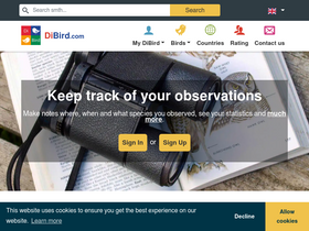 'dibird.com' screenshot