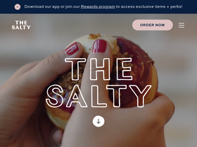 'saltydonut.com' screenshot