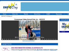 'infodog.com' screenshot