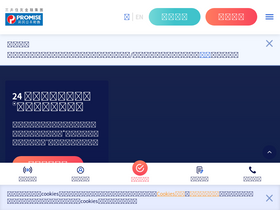 'promise.com.hk' screenshot