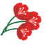 floralexpressions.com.au