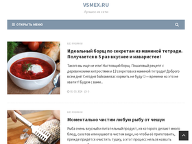 vsmex.ru