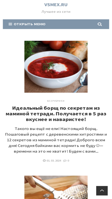 vsmex.ru