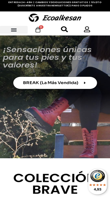 ecoalkesan.com