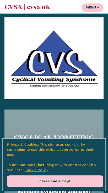cvsa.org.uk
