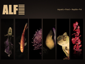 alfltd.co.uk