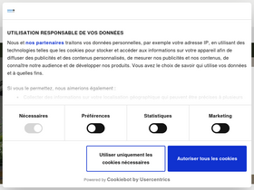 'brico-fenetre.com' screenshot