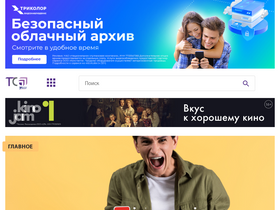 'telesputnik.ru' screenshot