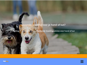 digidog.nl