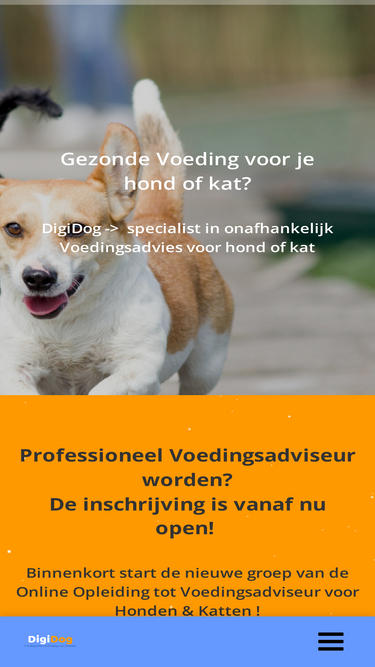digidog.nl