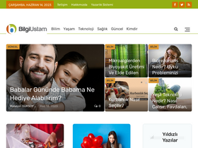 'bilgiustam.com' screenshot