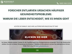 'entgiftungsratgeber.com' screenshot