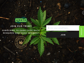 'aretehemp.com' screenshot