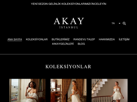akay.com.tr homepage screenshot