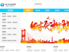 'idpi.cn' screenshot