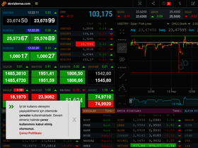'dovizborsa.com' screenshot