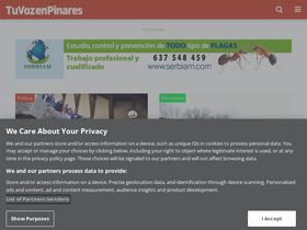 'tuvozenpinares.com' screenshot