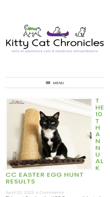 kittycatchronicles.com