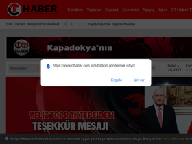 'cthaber.com' screenshot