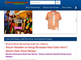 'kriptoparapiyasasi.com' screenshot