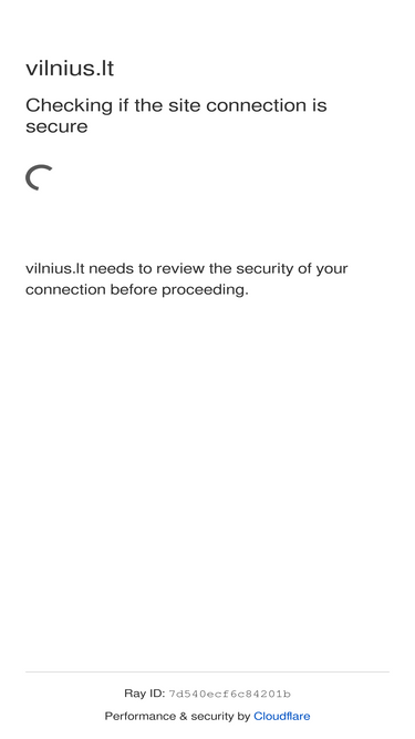 vilnius.lt