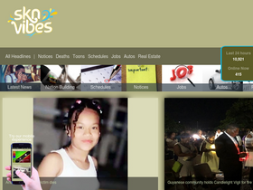 'sknvibes.com' screenshot