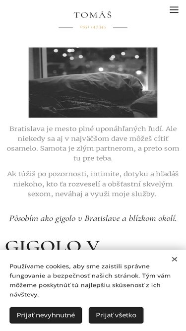 gigolo-bratislava.webnode.sk