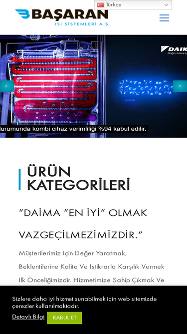 basaranisi.com
