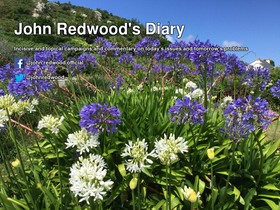 'johnredwoodsdiary.com' screenshot