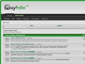 'voyeurfans.net' screenshot