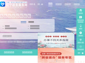 'lnzwfw.gov.cn' screenshot