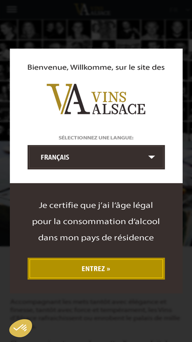 vinsalsace.com