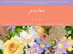 pictusgoods.com