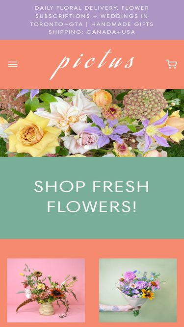 pictusgoods.com