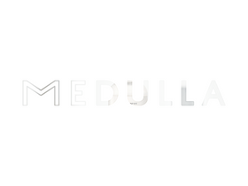 'medulla.co.jp' screenshot