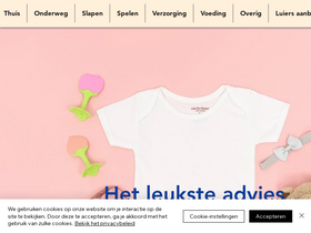 'babyspullen-advies.nl' screenshot