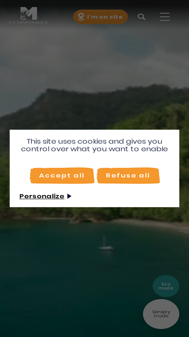 us.martinique.org