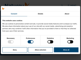 'naturgy.com' screenshot
