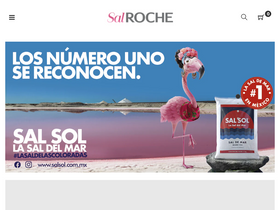 'salroche.com' screenshot