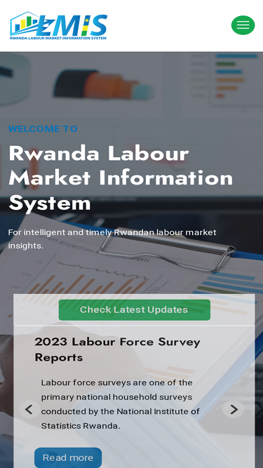 lmis.gov.rw