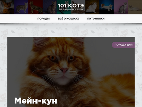 '101kote.ru' screenshot