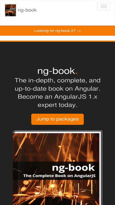 ng-book.com