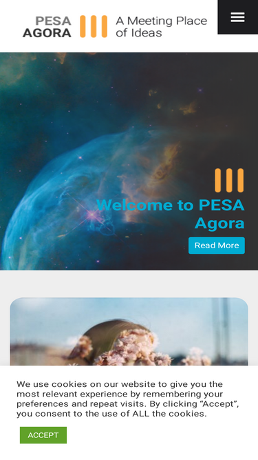 pesaagora.com