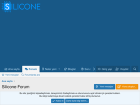 'silicone-forum.com' screenshot