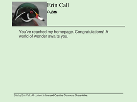 erincall.com